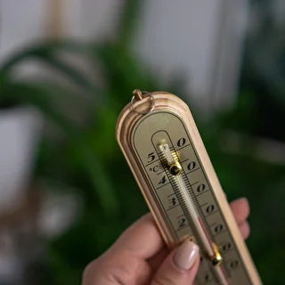 Termómetro de habitación con escala dorada (-10/50C)16cm – photo 4