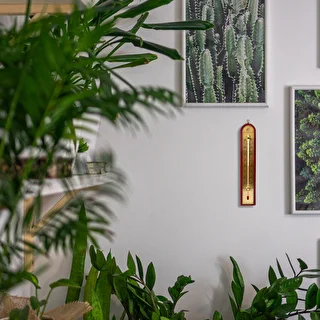 Termómetro de habitación con escala dorada (-10/60C) 28cm mix – photo 8