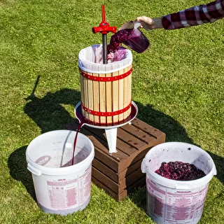 Recipiente de fermentación con tapa 30L – photo 16