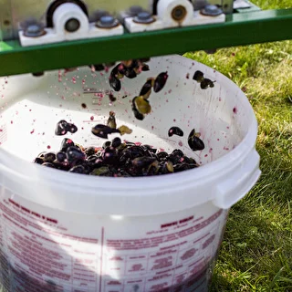 Recipiente de fermentación con tapa 30L – photo 18