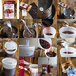 Kit para vino 4 ESTACIONES - arándano – photo 5