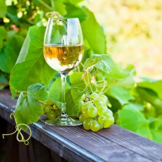 Enovini OK WHITE levadura que reduce la acidez – photo 10