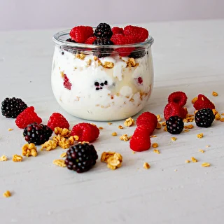 Cultivos bacterianos para yogur – photo 4