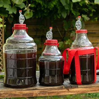 Enovini OK RED levadura que reduce la acidez – photo 7