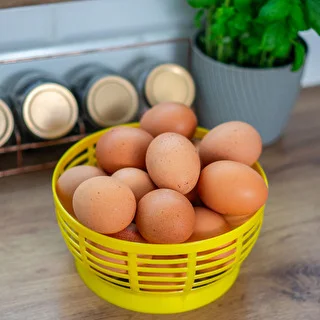 Canasta de plástico para Dam 5L, amarilla – photo 8