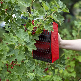 Máquina para recoger frutas pequeñas – photo 7