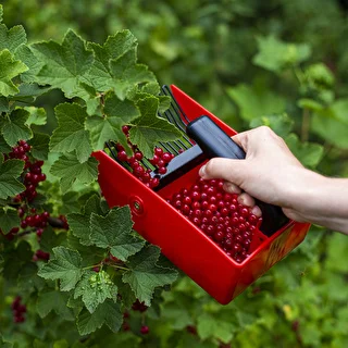 Recolector de frutos pequeños con púas metálicas – photo 7
