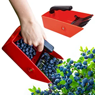 Recolector de frutos pequeños con púas metálicas – photo 6