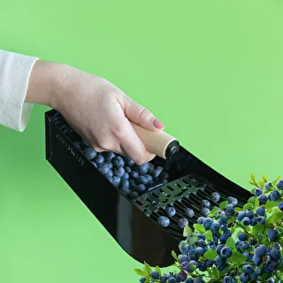 Recogedor de frutas pequeñas de metal negro – photo 8