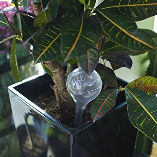 Bolas de riego TRANSPARENTES 2uds. – photo 10