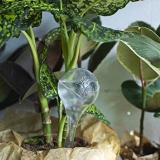Bolas de riego TRANSPARENTES 2uds. – photo 11