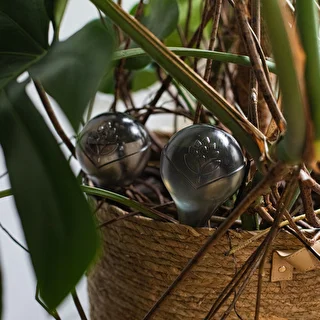 Bolas de riego TRANSPARENTES NEGRAS 2 uds. – photo 14