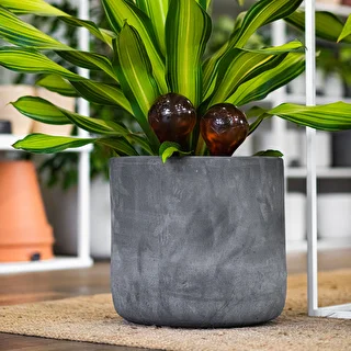 Bolas de riego TRANSPARENTES ÁMBAR 4uds. – photo 12