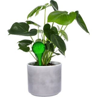 Bolas de riego TRANSPARENTES VERDES 4 uds. – photo 6