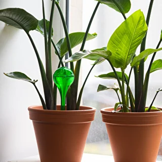 Bolas de riego TRANSPARENTES VERDES 4 uds. – photo 8
