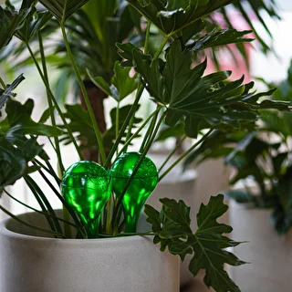 Bolas de riego TRANSPARENTES VERDES 4 uds. – photo 12