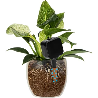 Tablilla de riego NEGRA con cerámica 1ud. – photo 6