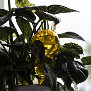 Bola de riego triple (tres cámaras), transparente amarilla, 600 ml – photo 7