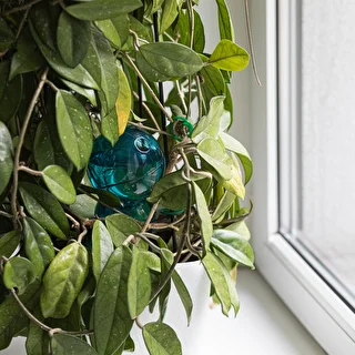 Bola de riego triple (tres cámaras), transparente azul, 600 ml – photo 7