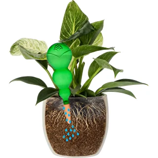 Bola de riego triple (tres cámaras), verde transparente con pie de cerámica, 600ml – photo 3