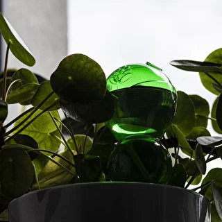 Bola de riego triple (tres cámaras), verde transparente con pie de cerámica, 600ml – photo 7