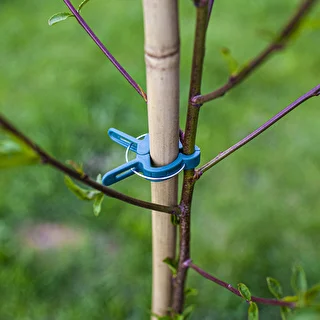 Clips para sujetar plantas 20 piezas (8x grandes/12x pequeñas) – photo 8