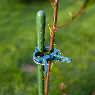 Clips para sujetar plantas 20 piezas (8x grandes/12x pequeñas) – photo 9