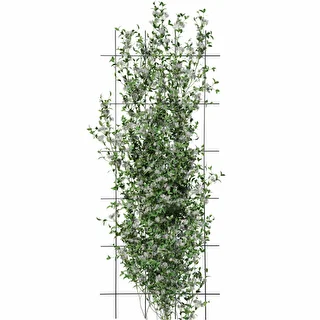 Soporte para plantas – enrejado de jardín 150 x 60cm – photo 3