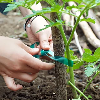 Cinta para atar plantas de PVC, 1,2 cm x 40m – photo 4