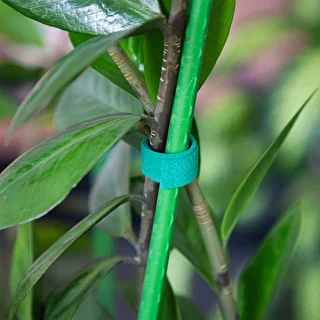 Cinta de jardín con velcro, verde, 15 mm x 5 m – photo 4