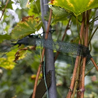 Cinta para atar plantas PE 3 cm x 50 m – photo 4