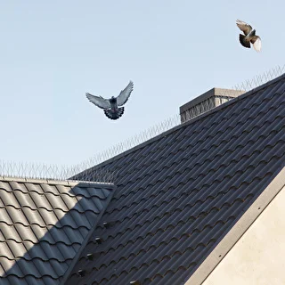 Púas contra aves (tira de plástico) 10 unidades DIY – photo 11