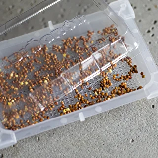 Germinador Zielona Czuprynka + semillas – photo 7