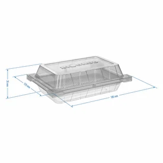 Germinador Zielona Czuprynka + semillas – photo 5