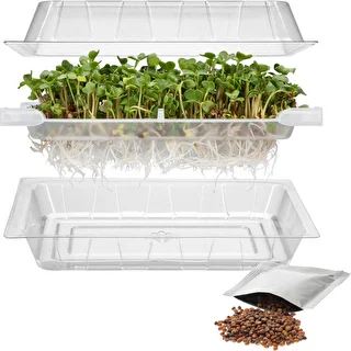 Germinador Zielona Czuprynka + semillas