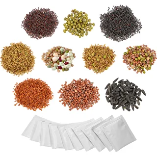 Conjunto de semillas para brotes – photo 1