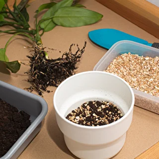 Vermiculita 2L – photo 7