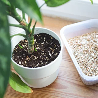 Vermiculita 2L – photo 8