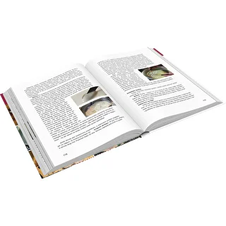 Libro "Szynkowar - El maestro de las posibilidades culinarias, Recetas" (libro en polaco)" – photo 3