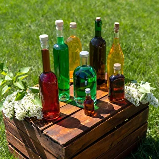 Botella Oliva para vino 750ml - paquete de 8 unidades – photo 10