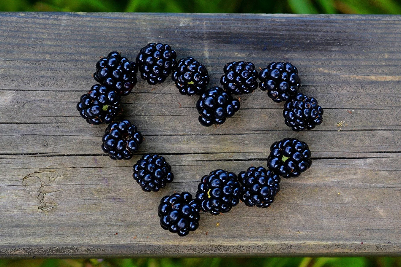 Licor casero de moras