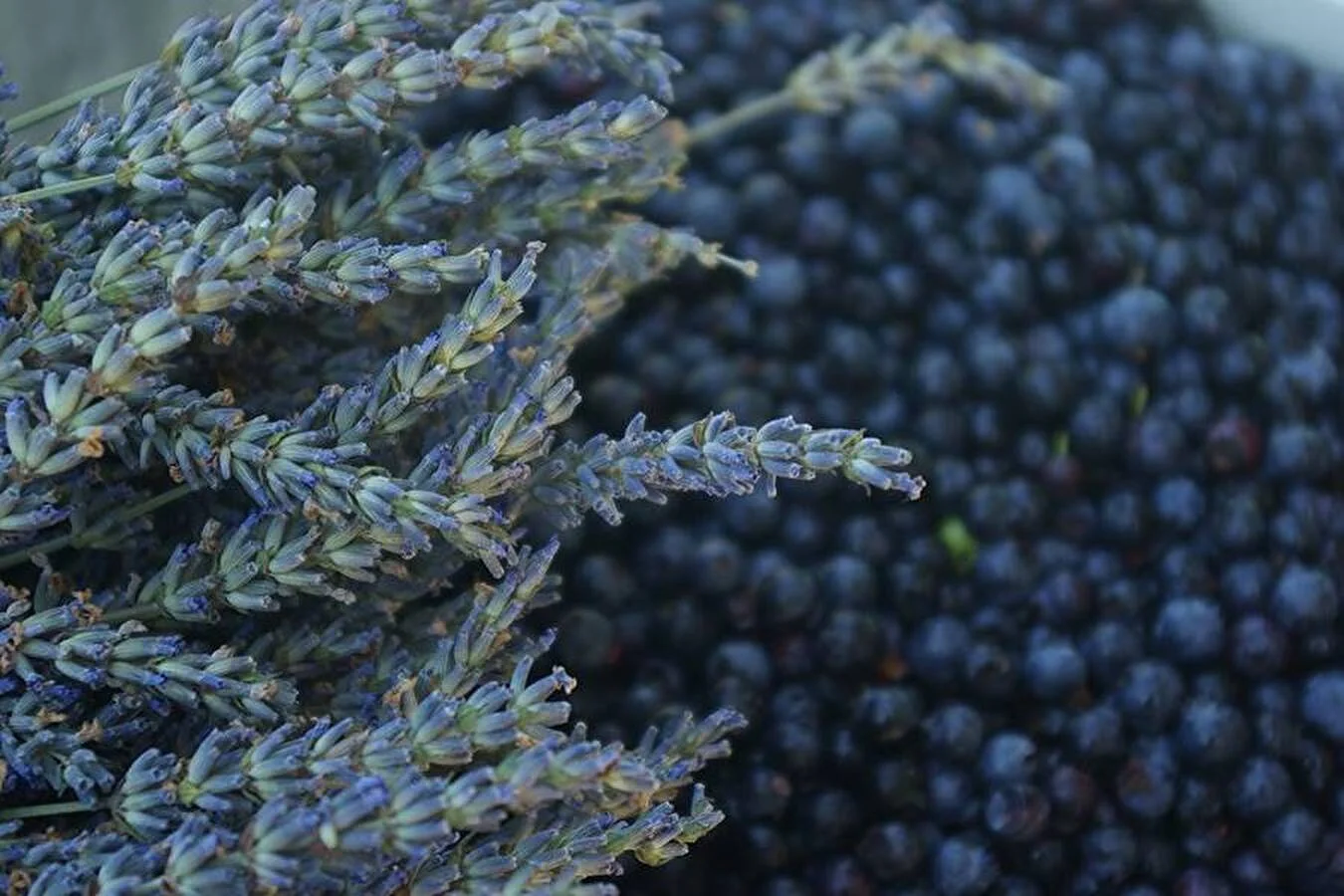 Vino casero de lavanda y arándanos