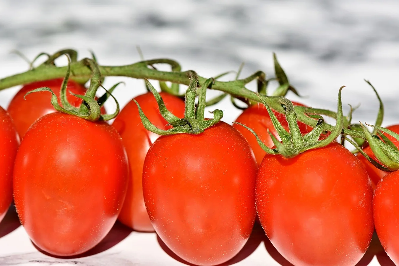 Puré de tomate