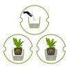 Arcilla expandida 10-20mm 4L - 12 
