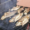 Astillas para ahumar (100% Aliso) cl 2 - 450g X5 - 12 