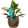 Bola de riego triple (tres cámaras), transparente azul, 600 ml - 3 