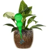 Bola de riego triple (tres cámaras), verde transparente, 600 ml - 3 