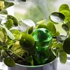 Bola de riego triple (tres cámaras), verde transparente, 600 ml - 7 