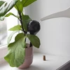 Bolas de riego NEGRAS con tapón 4 piezas - 12 