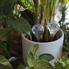 Bolas de riego TRANSPARENTES 2uds. - 9 
